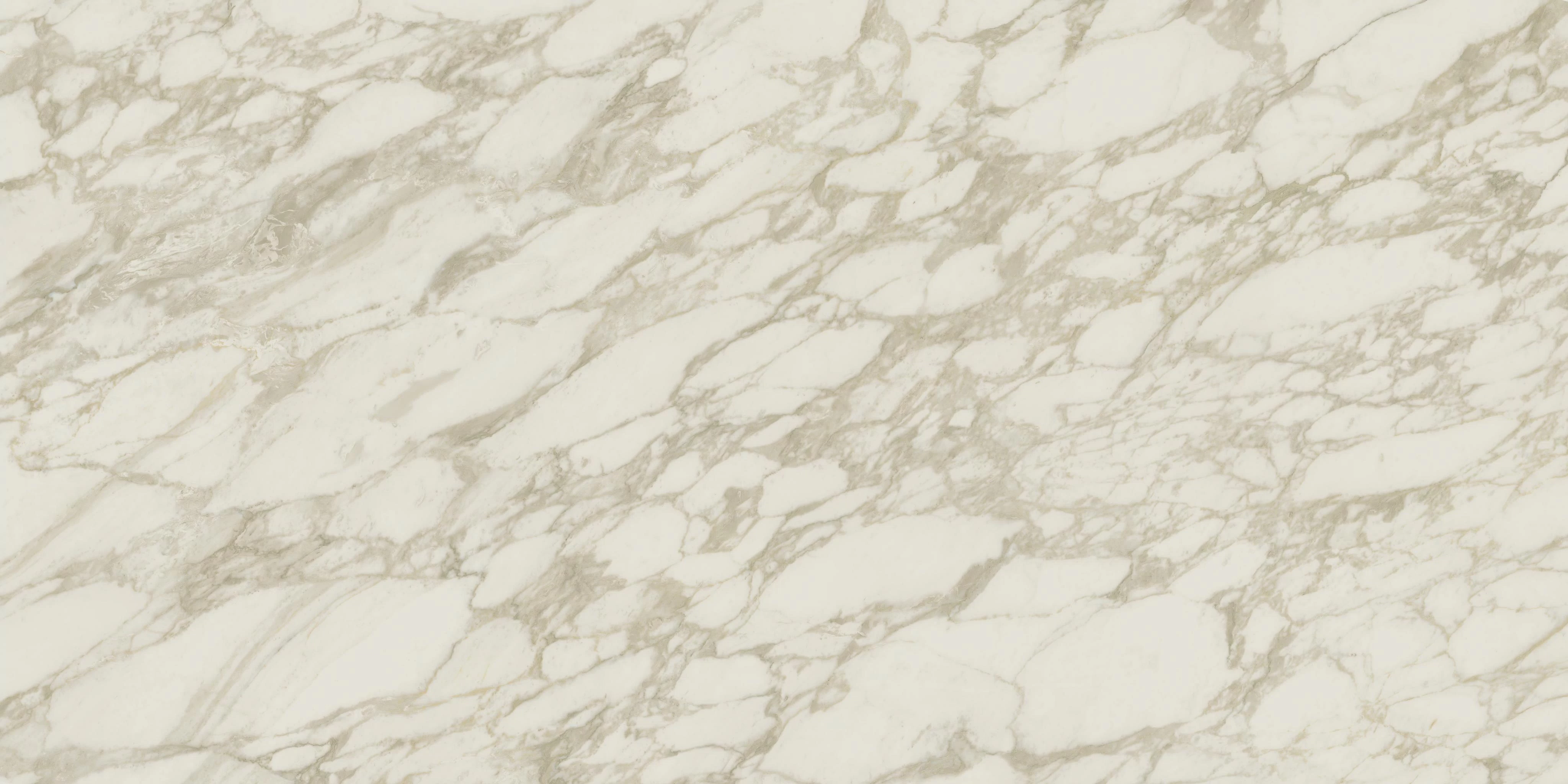 AtlasConcorde MarvelEdge RoyalCalacatta 120x240 Polished AENU 1