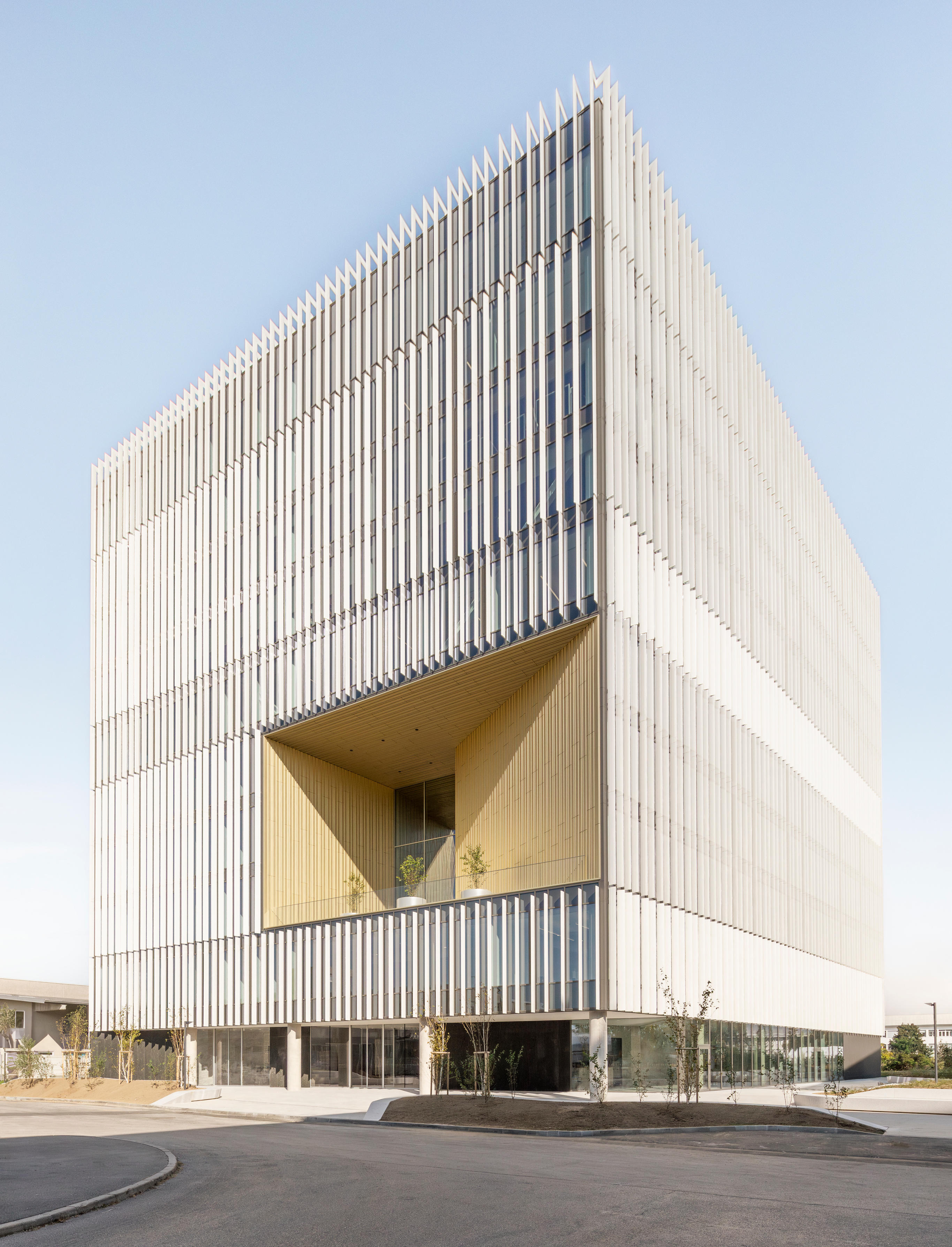 Dimnikcobau-photo_anaskobe (1)