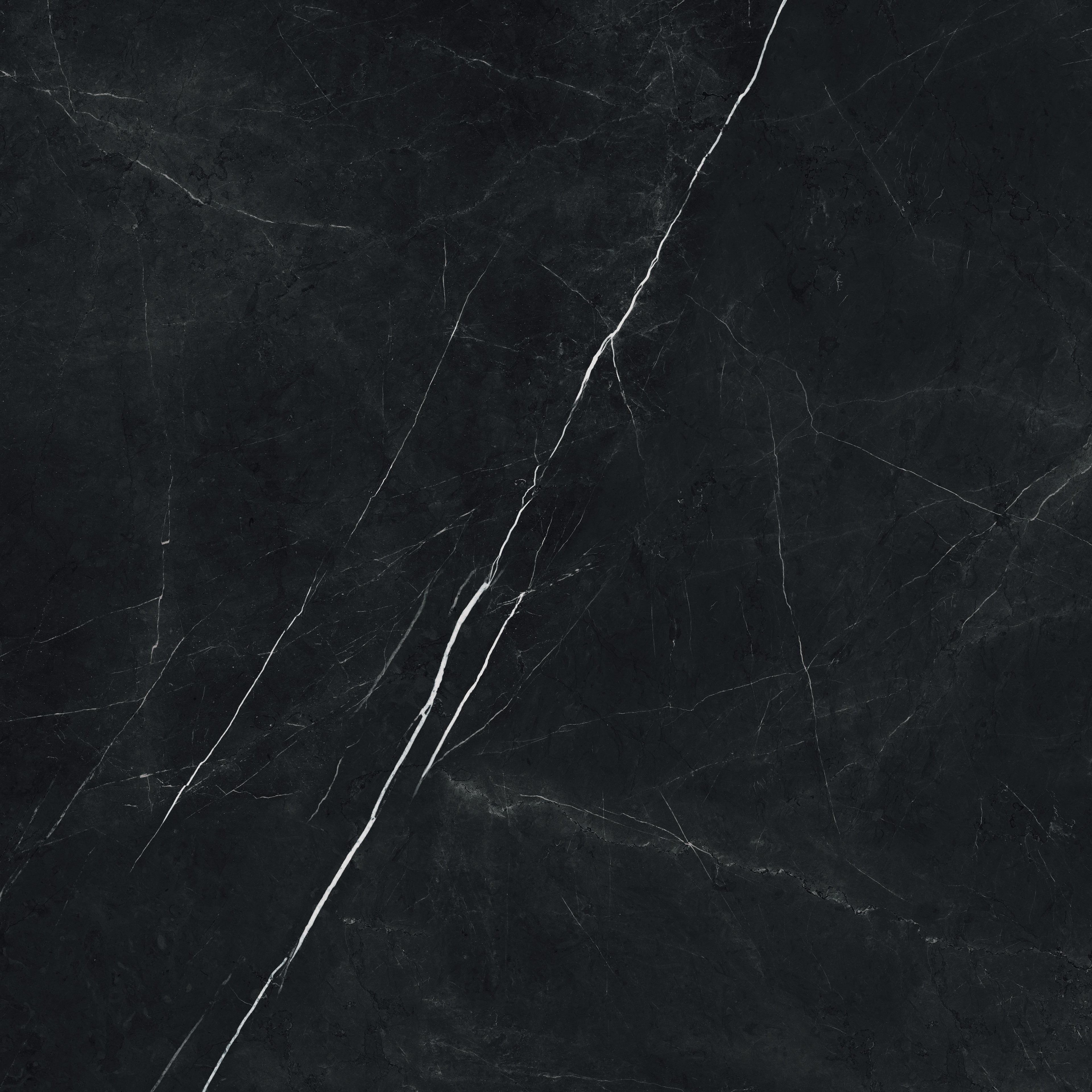 Elegant Black