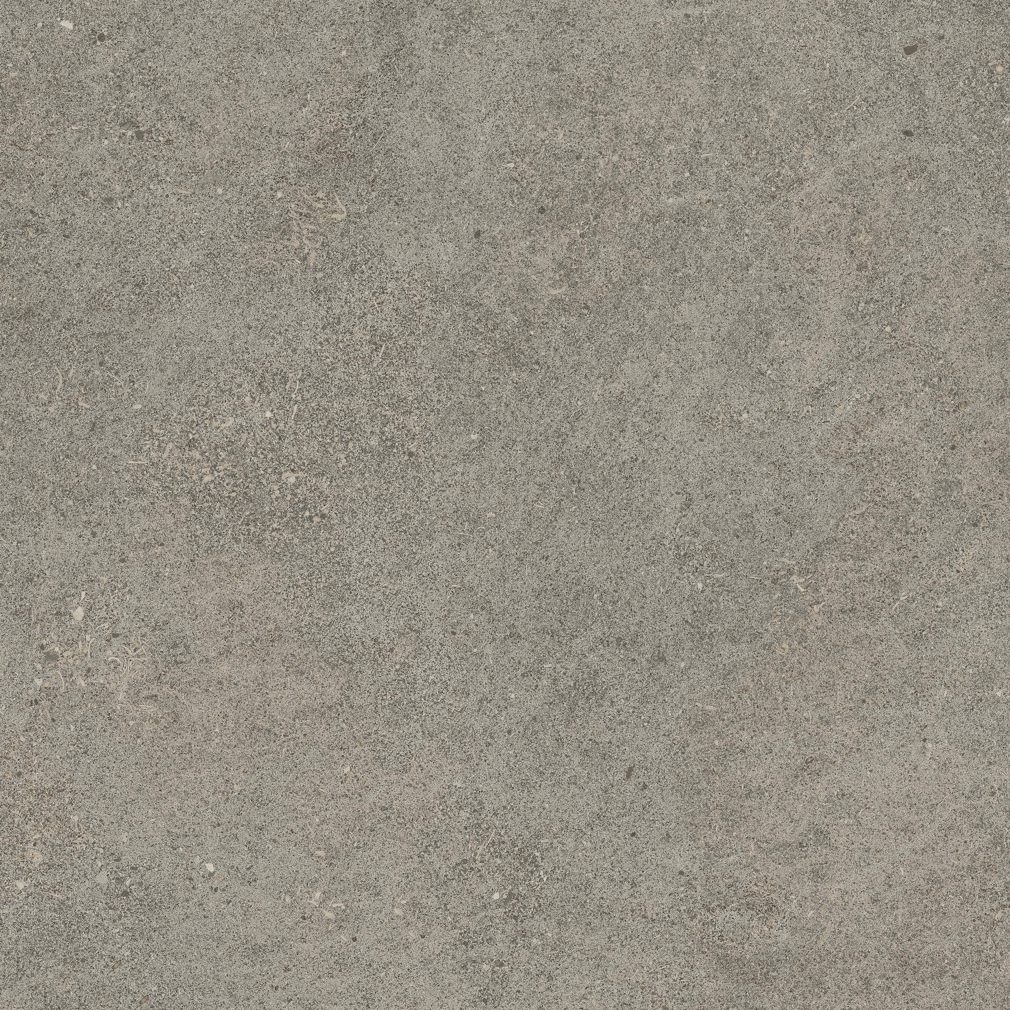 Forte dei Marmi Rock Lunar Grey 60x60 Структурированный, Серый, 60x60