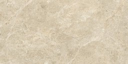 NYRA Sunlight 30x60  
