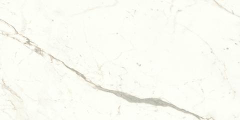 MARVEL Calacatta Prestigio 60X120 Matt