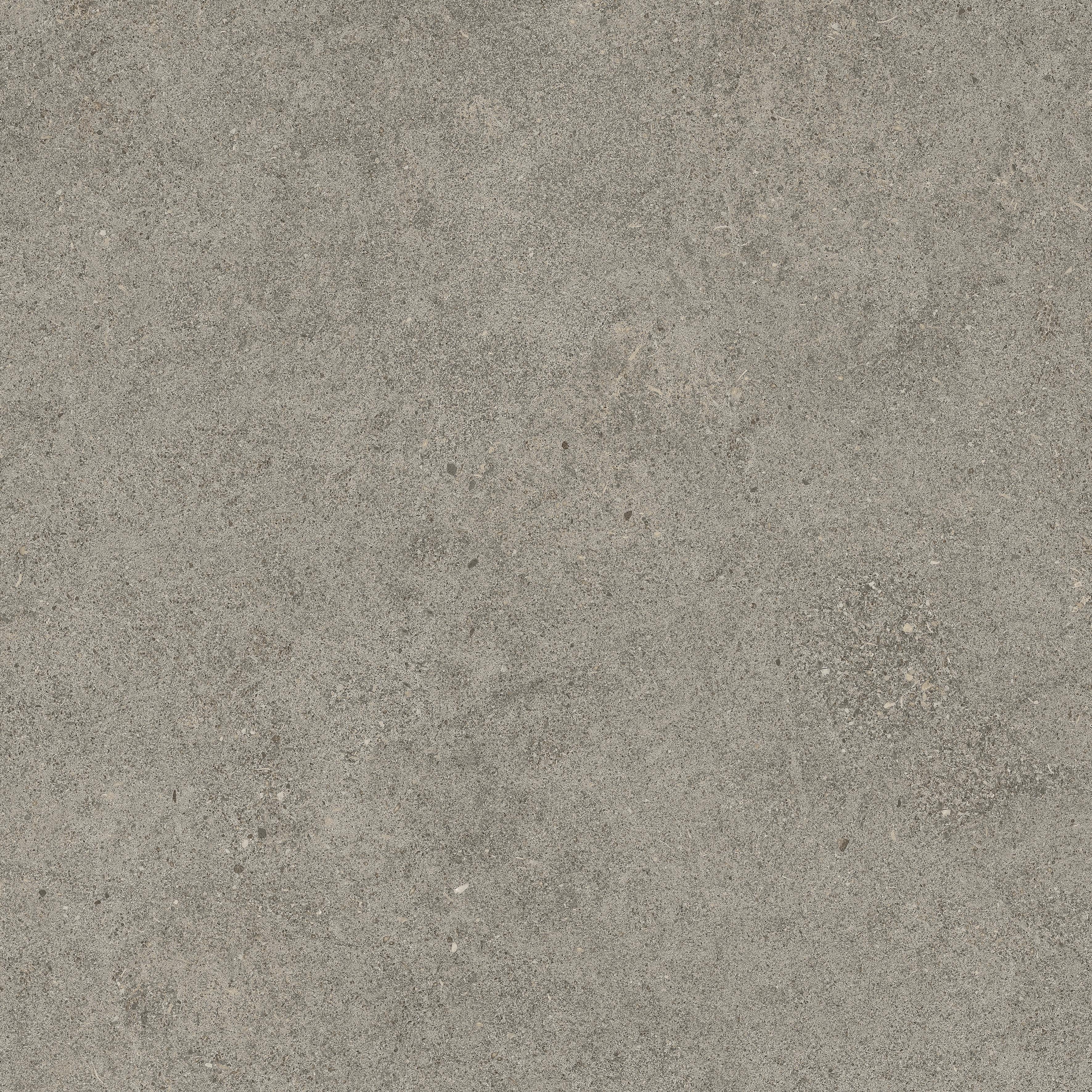 Forte dei Marmi Rock Lunar Grey 60x60 Структурированный, Серый, 60x60