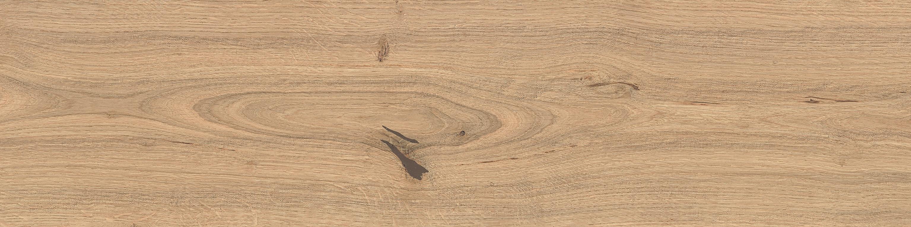 Log Icon Oak 30x120 Matte Sensitech, Jasnobrązowy, 30x120