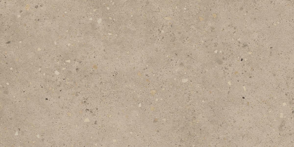 Grain Terrazzo Ash 60X120  