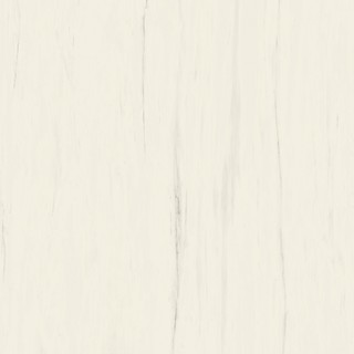 MS.Bianco Dolomite Lappato 160x160RT