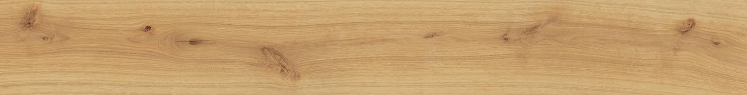 EXENCE Almond 18,5x150