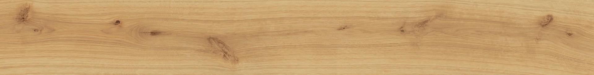 EXENCE Almond 18,5x150