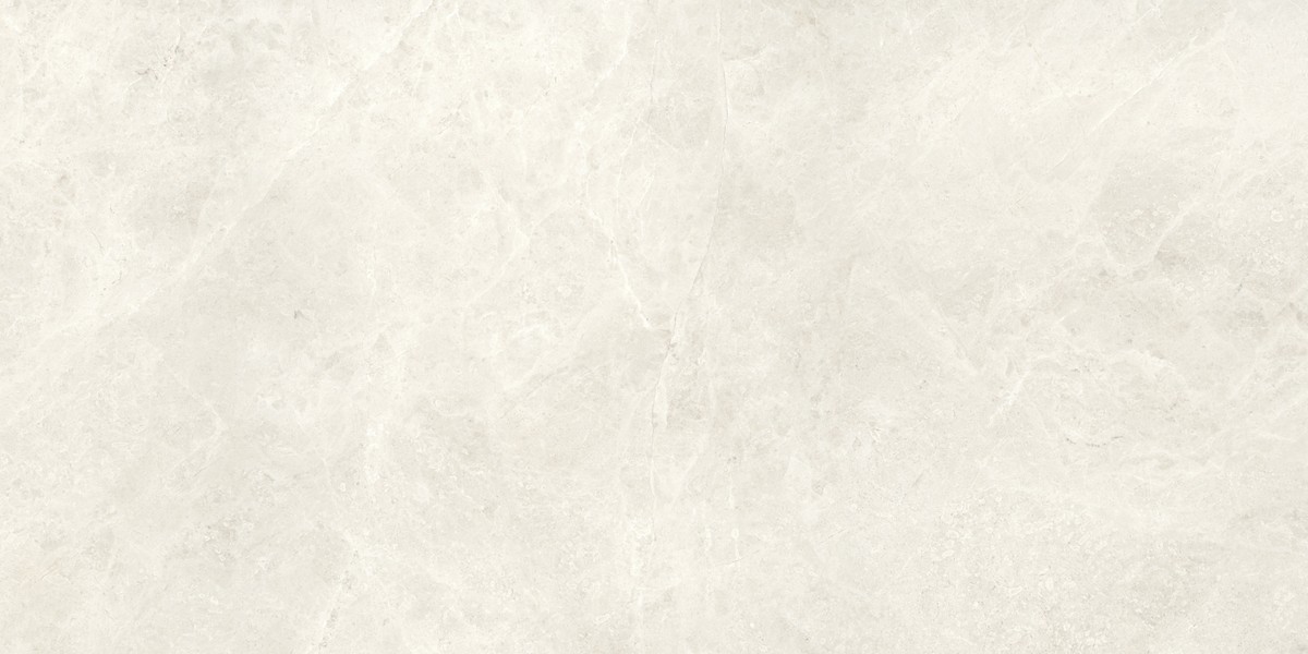 Compact Bone 60x120  