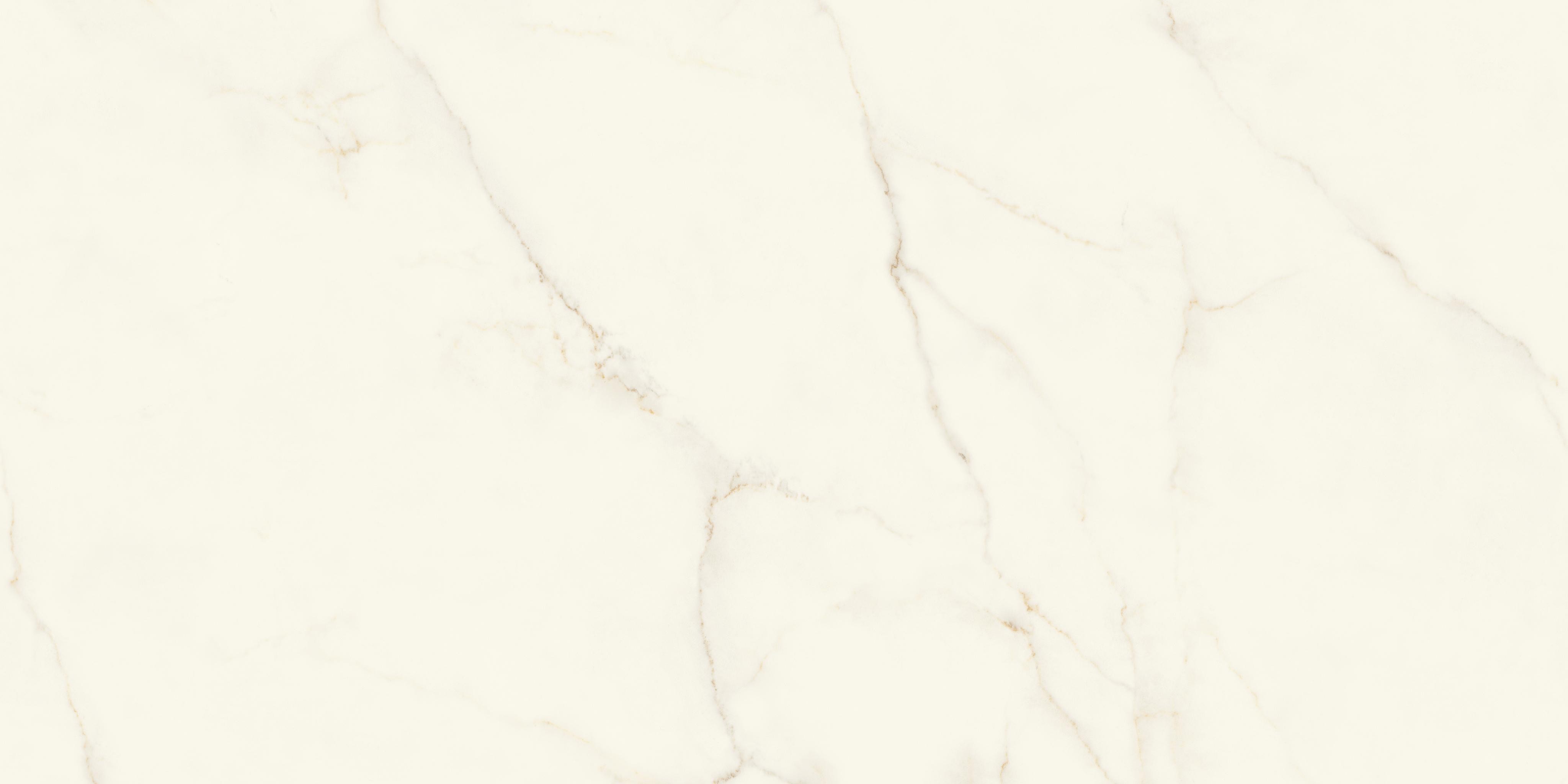 Calacatta Apuano Polished 160×320 Endless