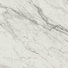 Marvel Statuario Select 120x120 Lappato