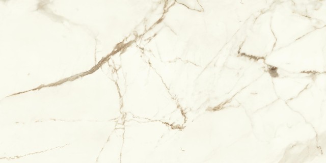 MARVEL Calacatta Imperiale 60X120 Matt