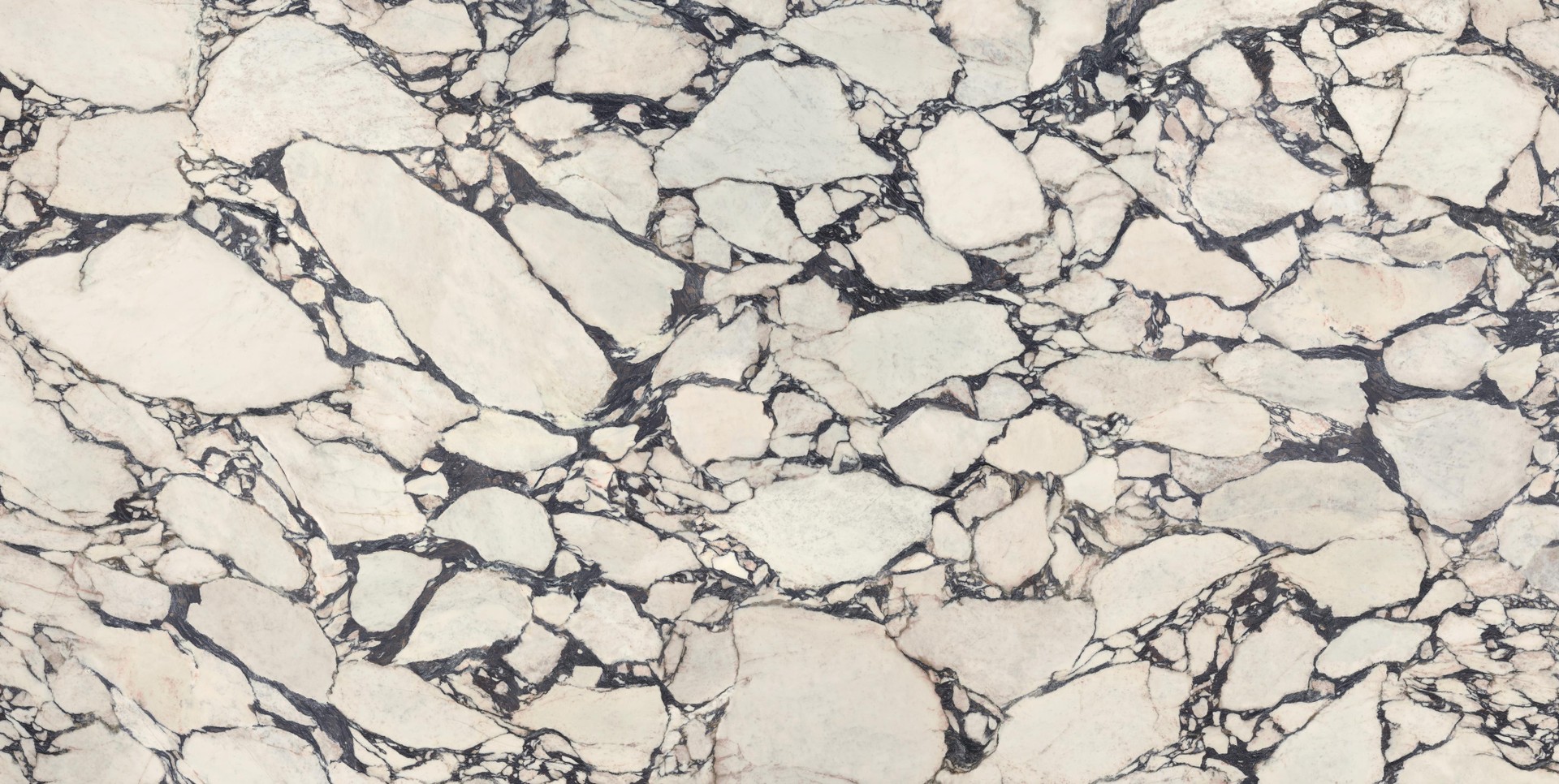Calacatta Viola Polished 162x324 - 12mm ST