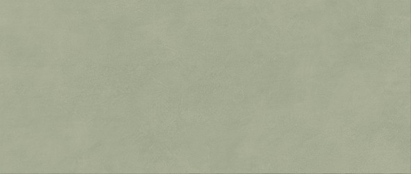 Boost Expression Olive  50x120  