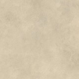 Boost Expression Tan 80x80  