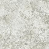 Forte dei Marmi Quark Brazilian White Rett 80x80