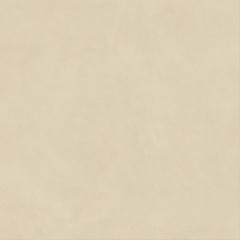 Boost Natural Pro Oat 120x120  