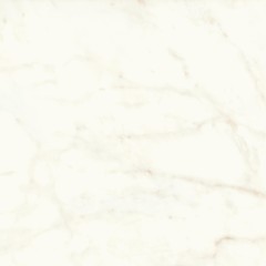 MARVEL Calacatta Delicato 120x120 Lappato