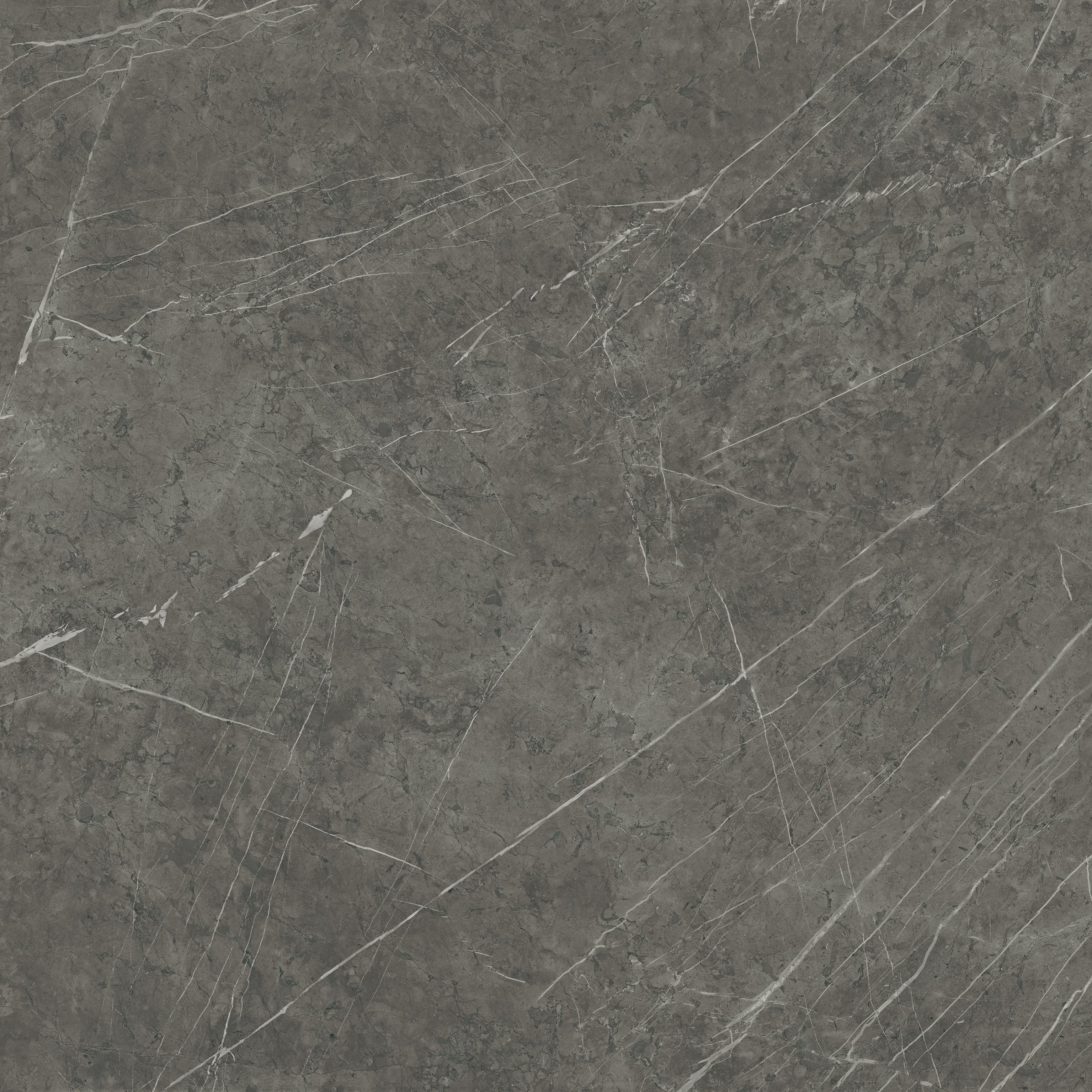 AtlasConcorde Marvel Grey-Stone 120x120 Matte AEQY 13