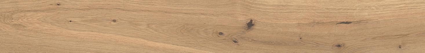LOG Icon Oak Forest 18,5x150  