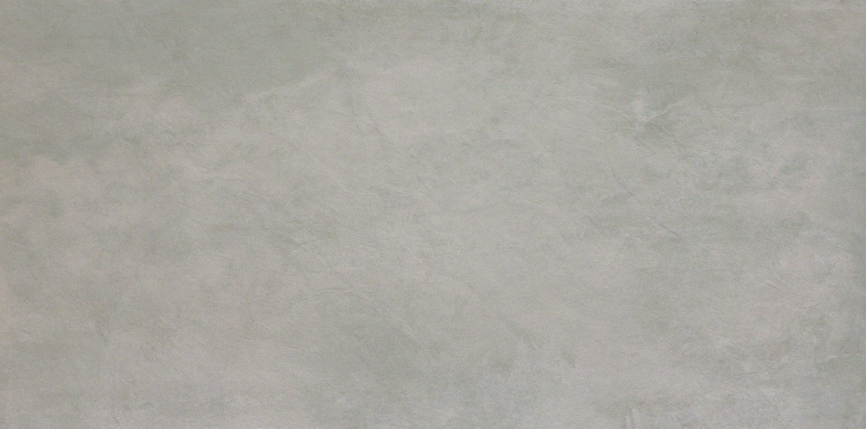 AtlasConcorde Evolve Silver 60x120 Matte ATAX