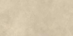 Boost Expression Tan 60x120  