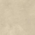 Boost Expression Tan 60x60  