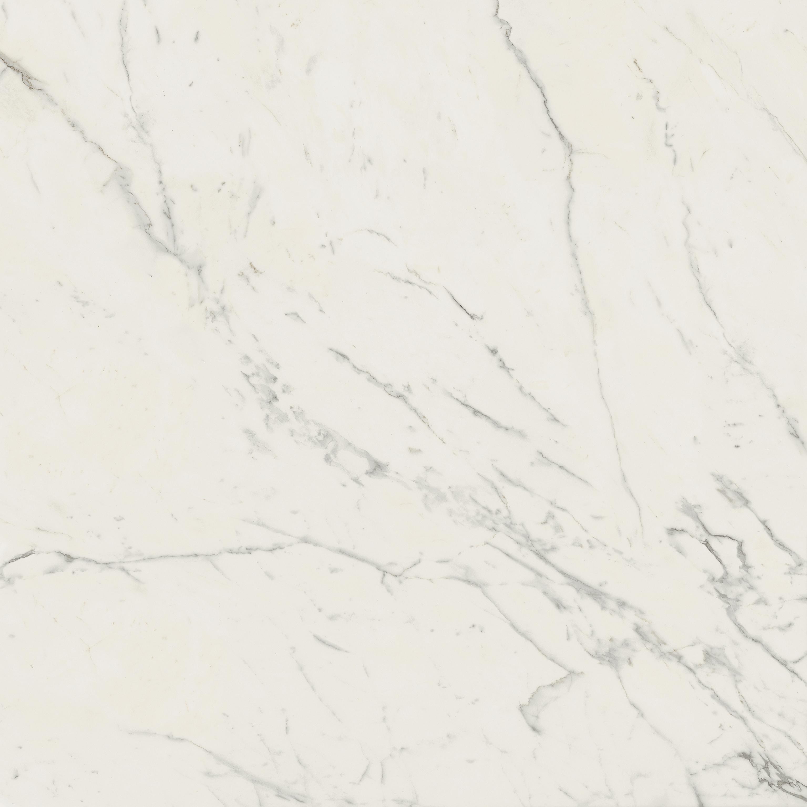 AtlasConcorde Marvel Calacatta-Extra 120x120 Matte A20Y 8b