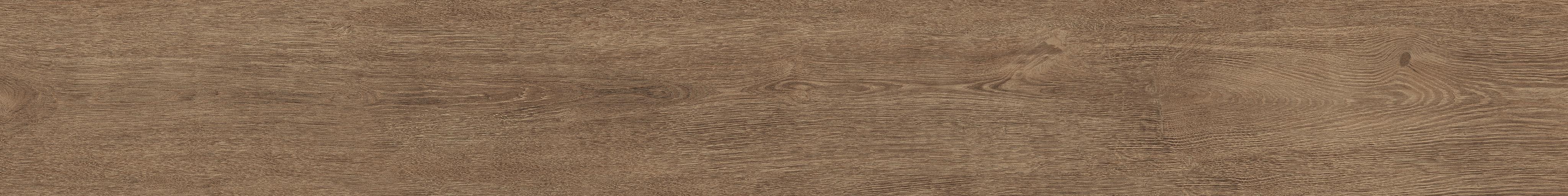 AtlasConcorde Arbor Cognac 30x240 Matte AMHV 3