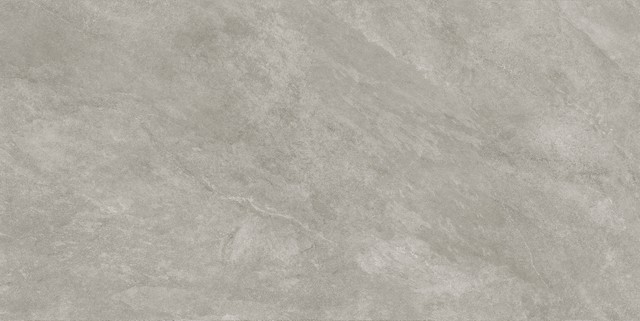 Ринашенте Слейт Сильвер 60x120