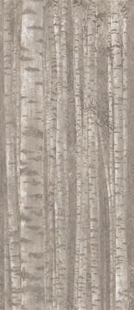 AtlasConcorde BoostPro Grove 120x278 A0LW 1