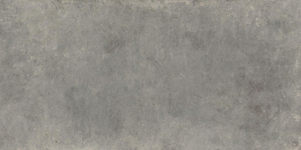 CODEC Gray 60x120