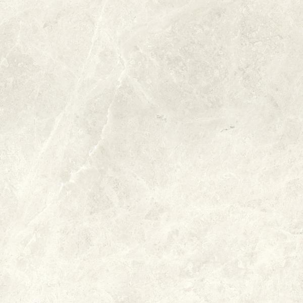 Compact Bone 60x60  