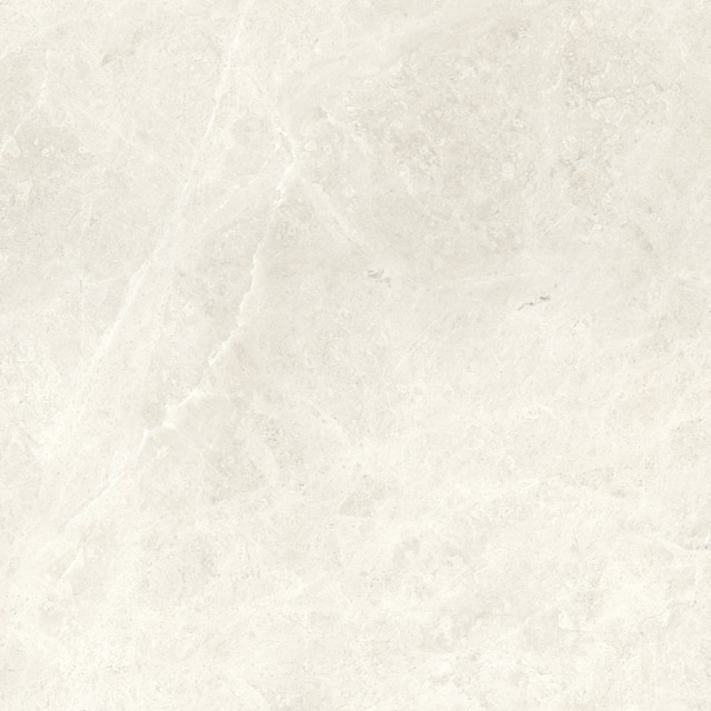 Compact Bone 60x60  