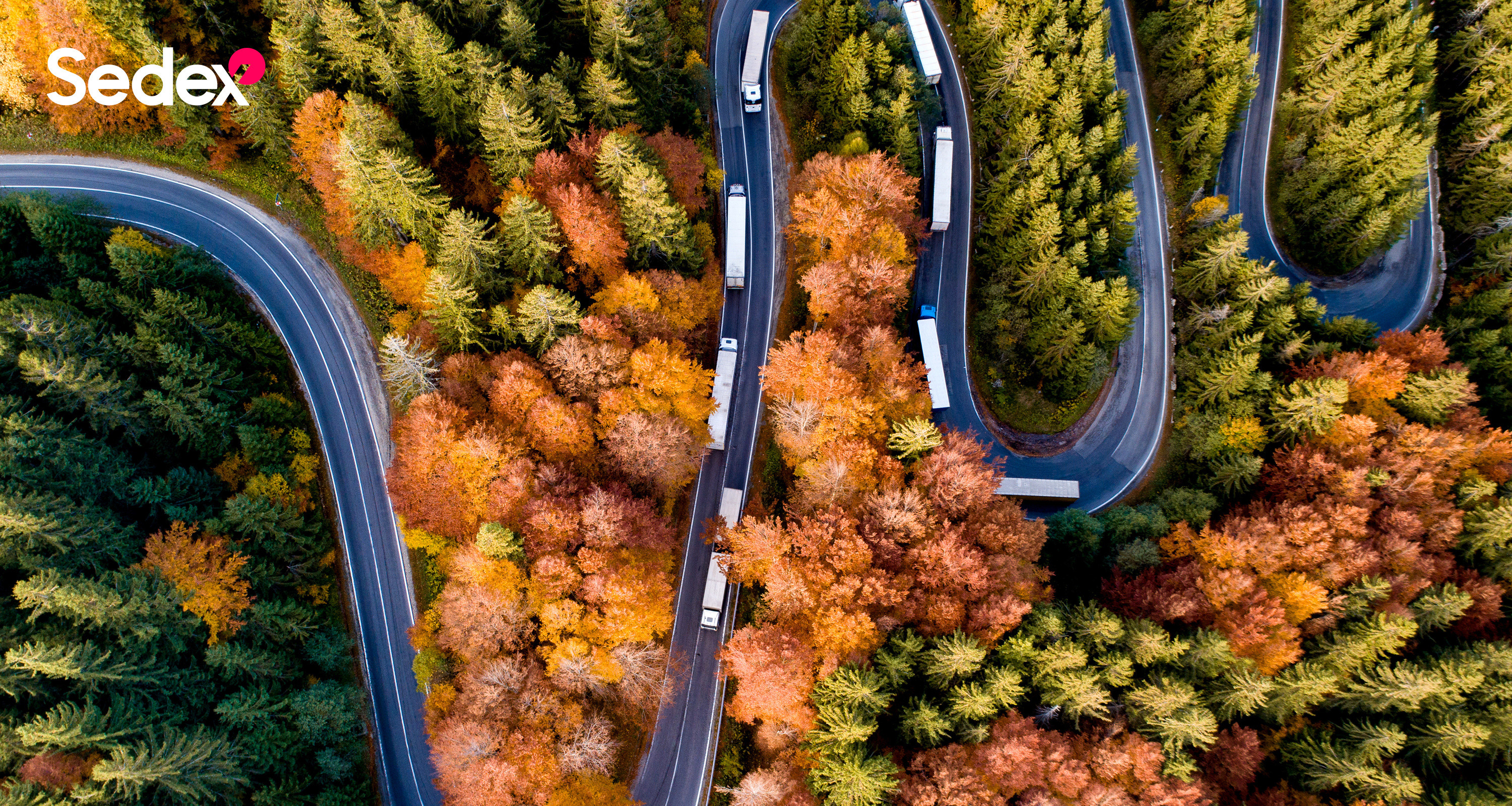 Sedex Member Aerial Photo 1