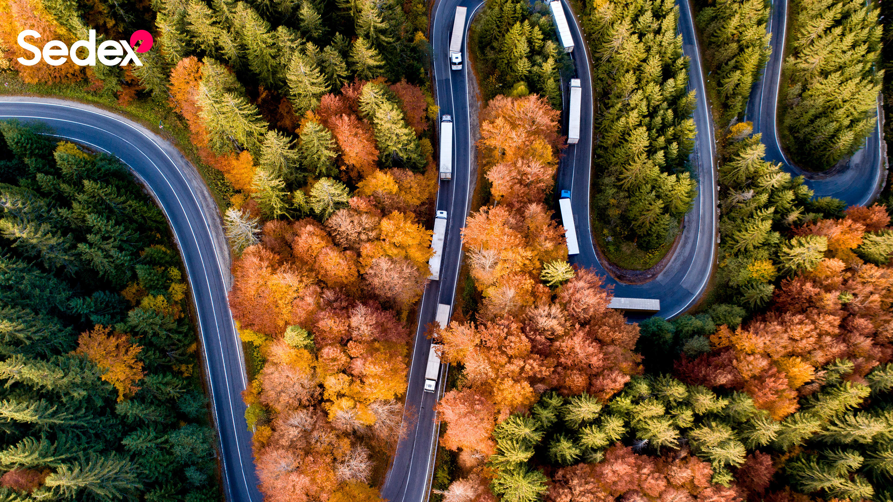 Sedex Member Aerial Photo 1