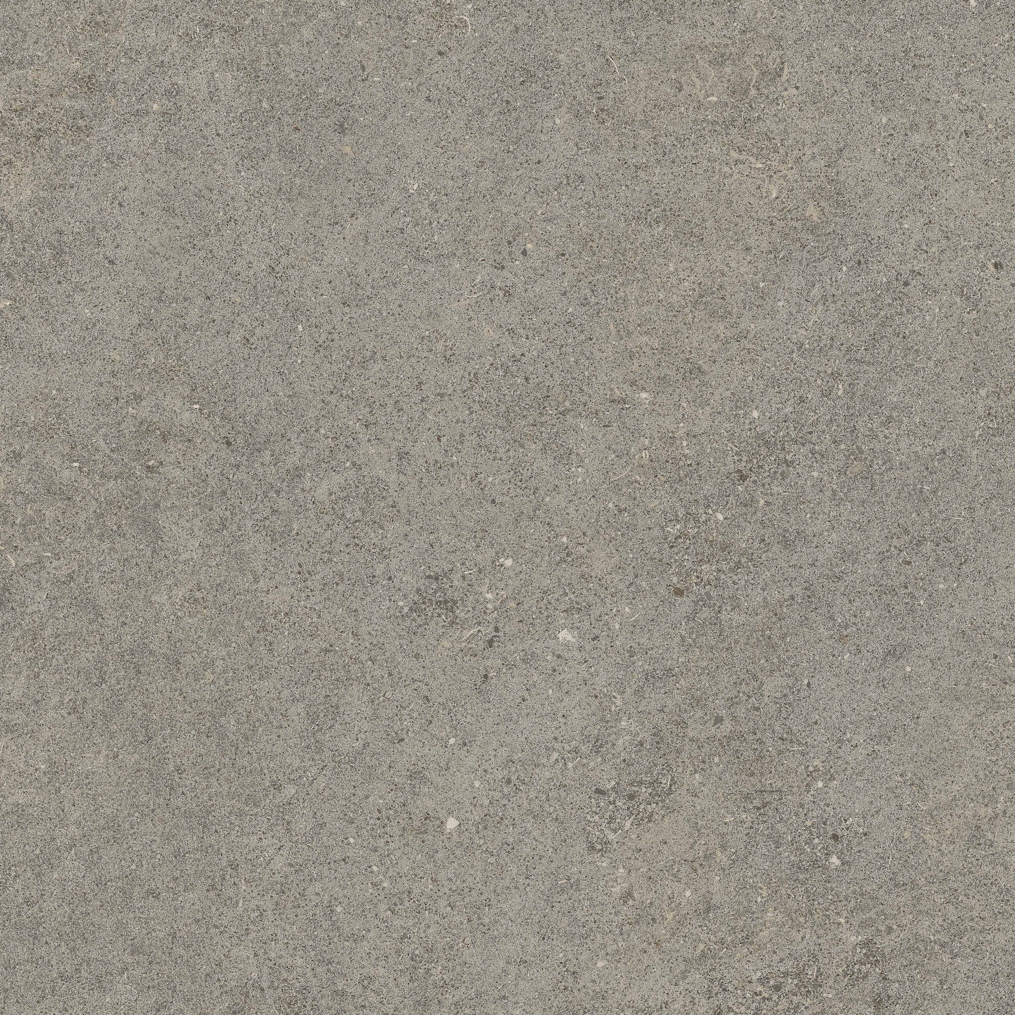 Forte dei Marmi Rock Lunar Grey 60x60 Структурированный, Серый, 60x60