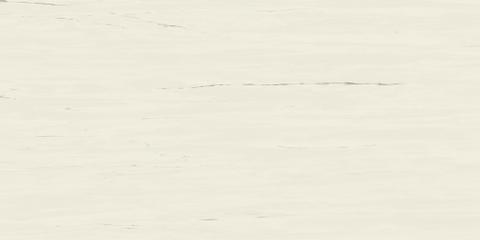 Marvel Bianco Dolomite 120x240 Lappato