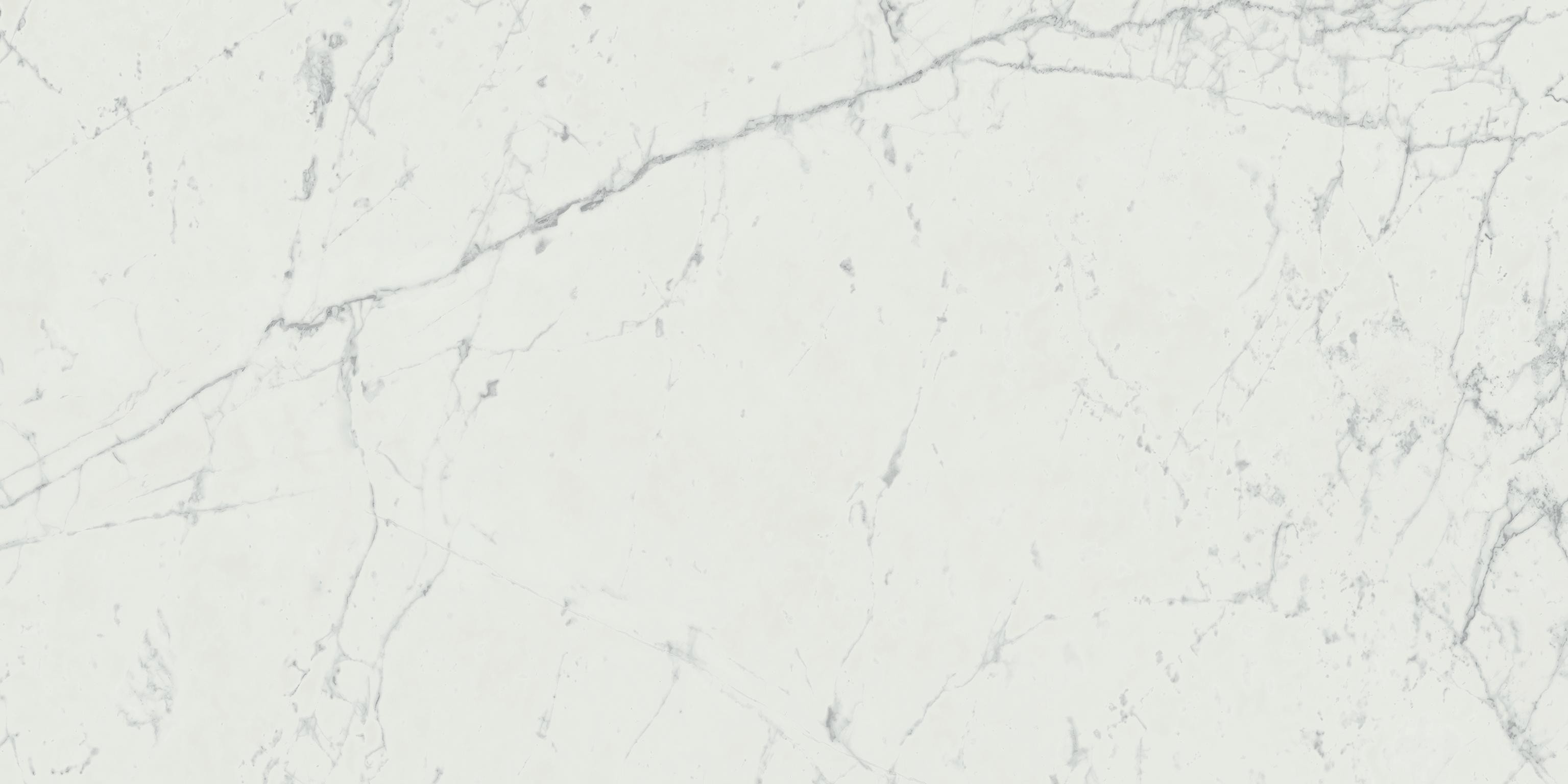 AtlasConcorde MarvelStone Carrara-Pure 60x120 Matte A21E 2