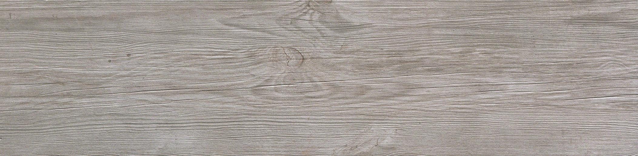 AtlasConcorde Axi SilverFir 22.5x90 Matte AS3D