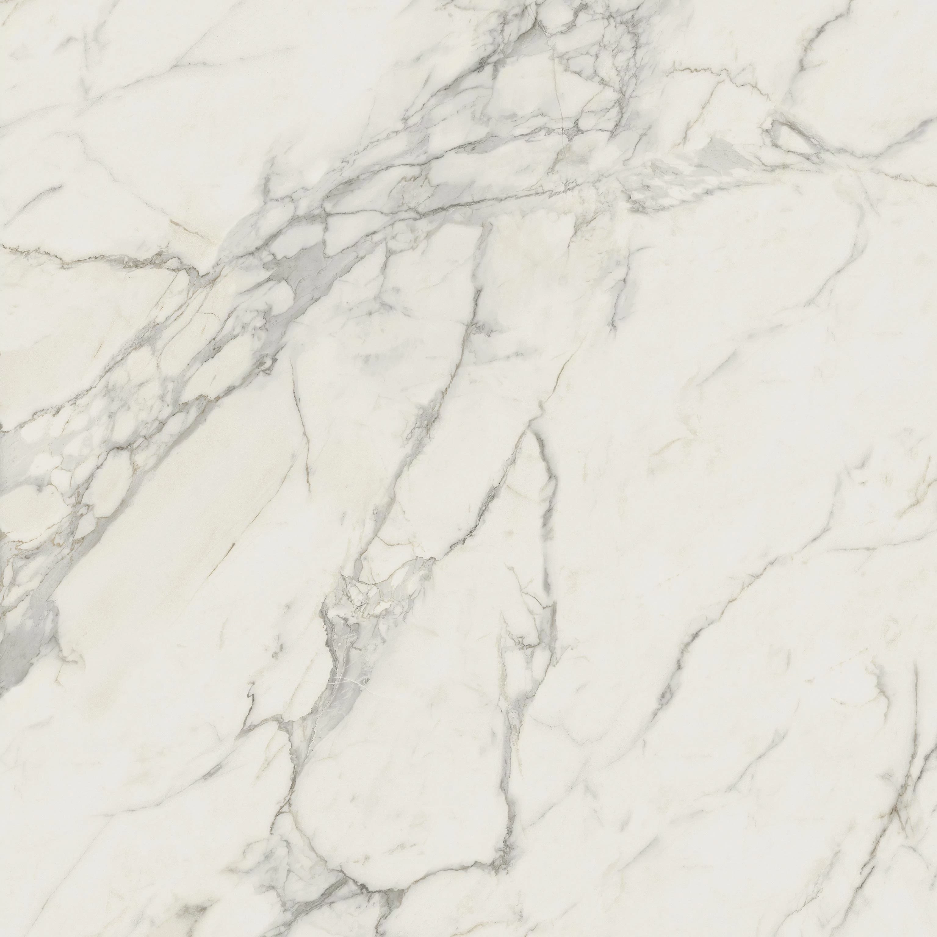 AtlasConcorde Marvel Calacatta-Extra 120x120 Matte A20Y 10a