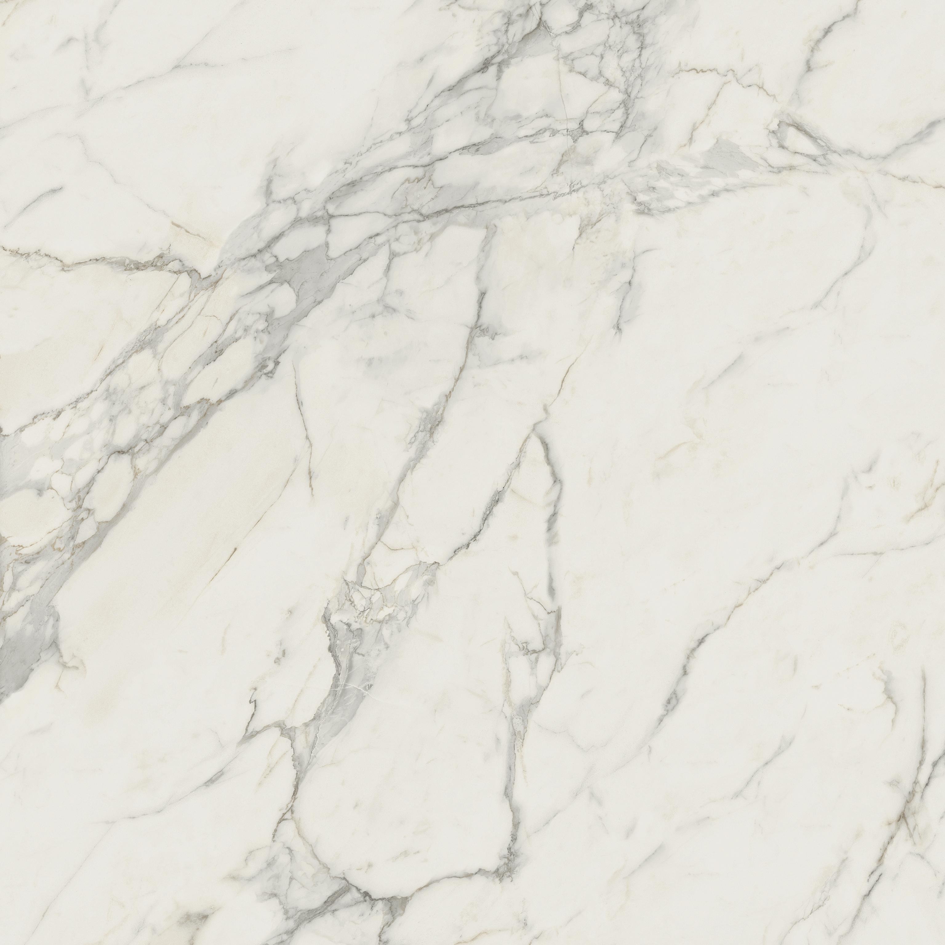 AtlasConcorde Marvel Calacatta-Extra 120x120 Matte A20Y 10a