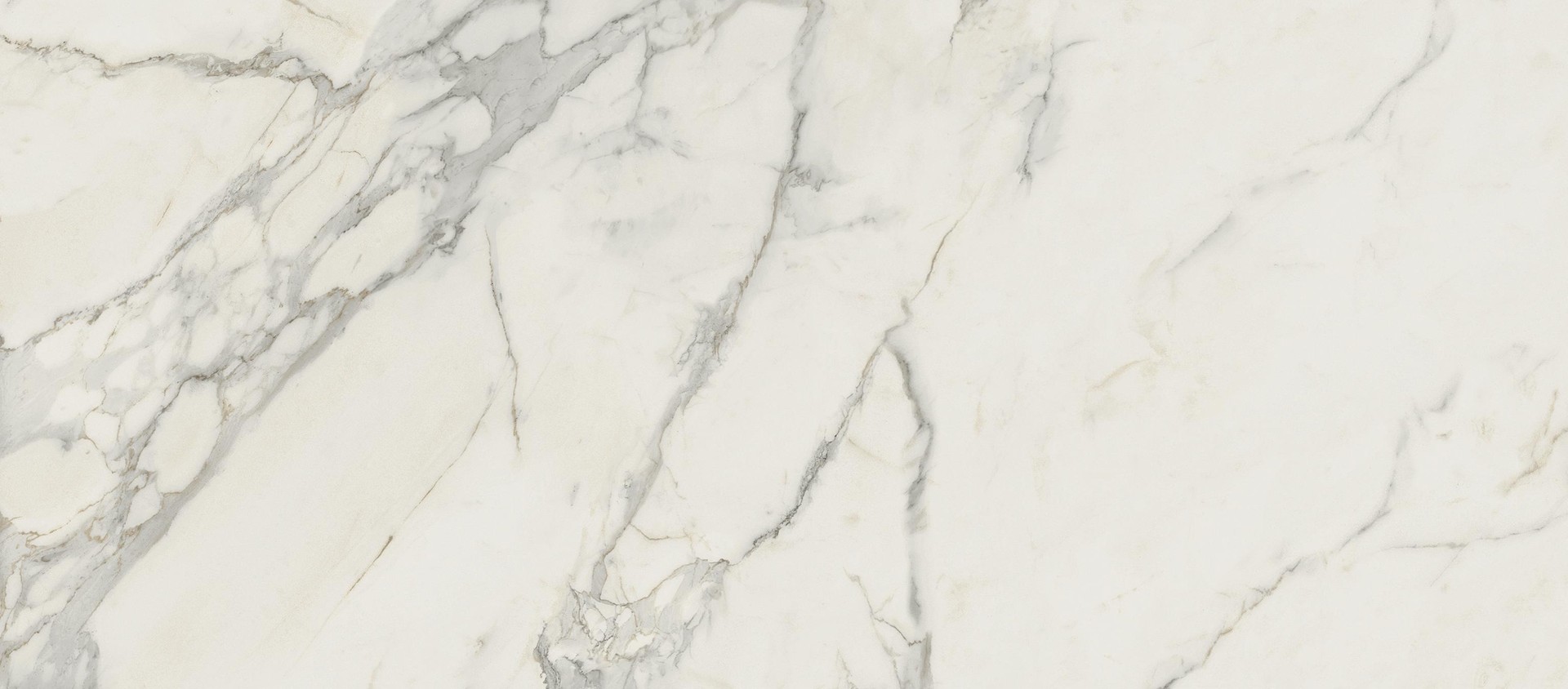 AtlasConcorde Marvel Calacatta-Extra 120x120 Matte A20Y 10a
