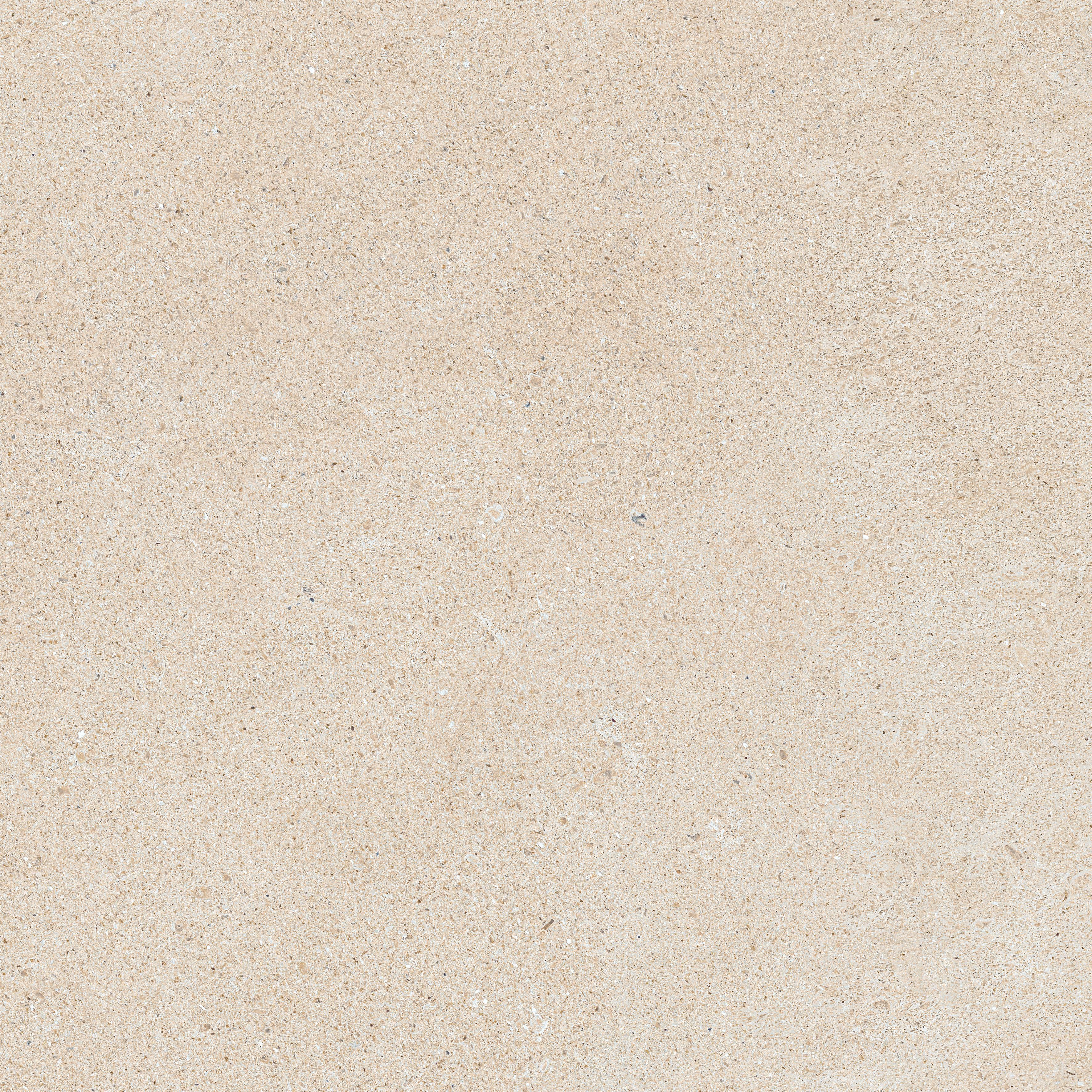Forte dei Marmi Rock Siberian Ivory 60x60 Структурированный, Белый, 60x60