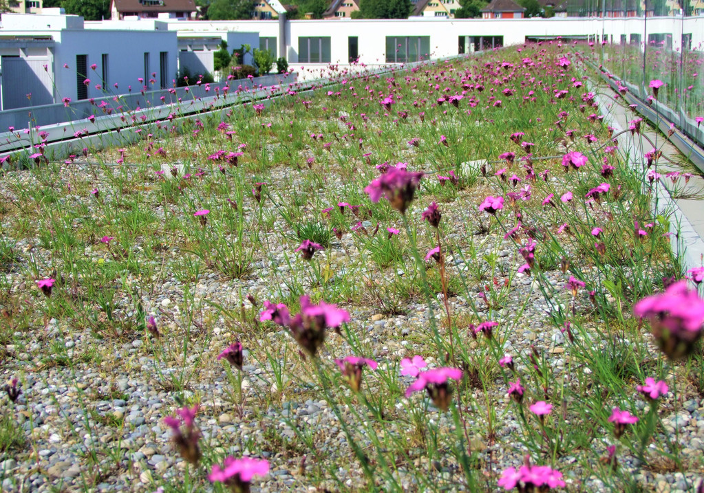 WestLog, Zürich