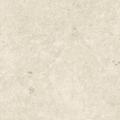 NYRA Star 60x60  