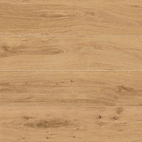 Rive Acqua Riva 20x120 Rettificato