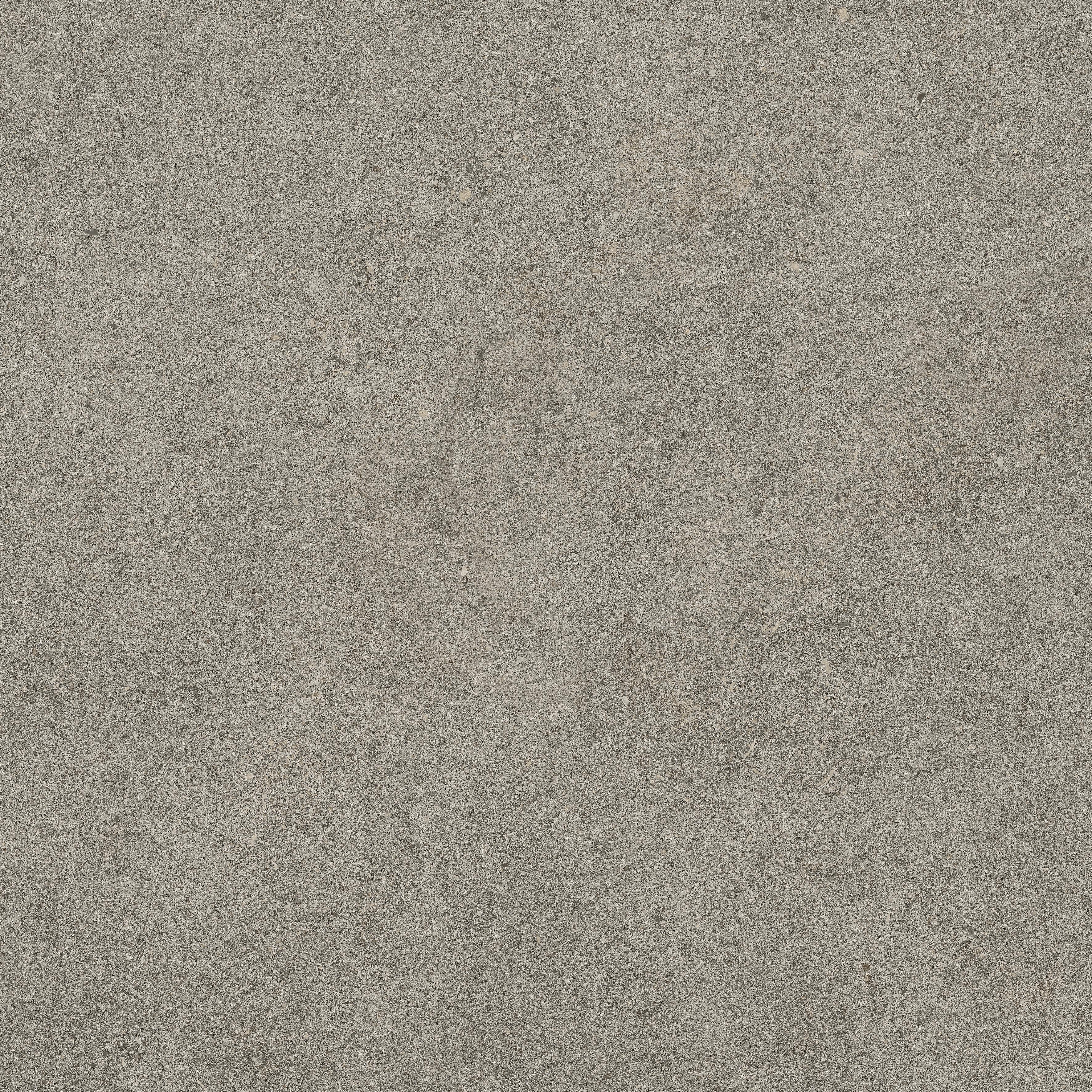 Forte dei Marmi Rock Lunar Grey 60x60 Структурированный, Серый, 60x60