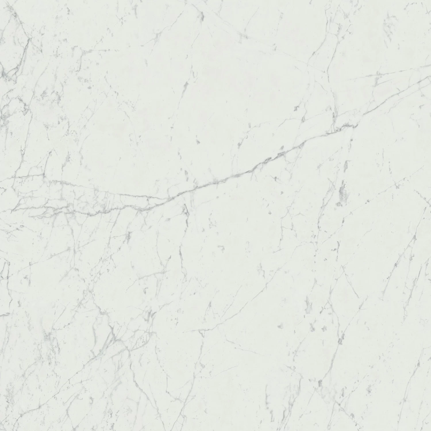 Marvel Stone Marvel Carrara 120x120: Porcelain Tiles - Atlas Concorde