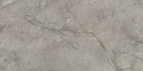 Marvel Meraviglia Silver Majestic 60x120 Velvet 